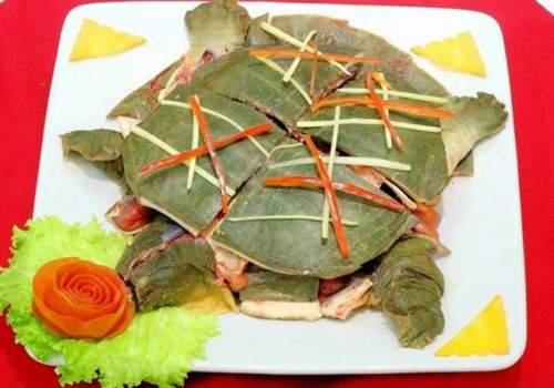 Cách làm thịt ba ba tại nhà không bị tanh, tươi ngon như ngoài hàng